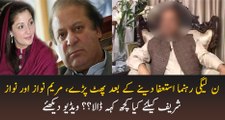 PMLN Leaders Bashing Mayam & Nawaz Sharif
