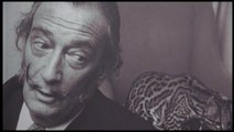 Exhuman los restos de Dalí en un ambiente de máxima expectación
