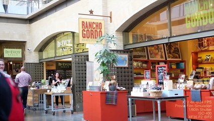 FUJIFILM X T2 Real Use Review + Photo & Video Autofocus Tests in 4K