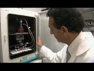 WIRED SCIENCE | Body Builders | PBS