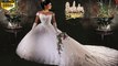 Beautiful and Elegant Wedding Dresses / Gowns: (Wedding Album Collection 8)