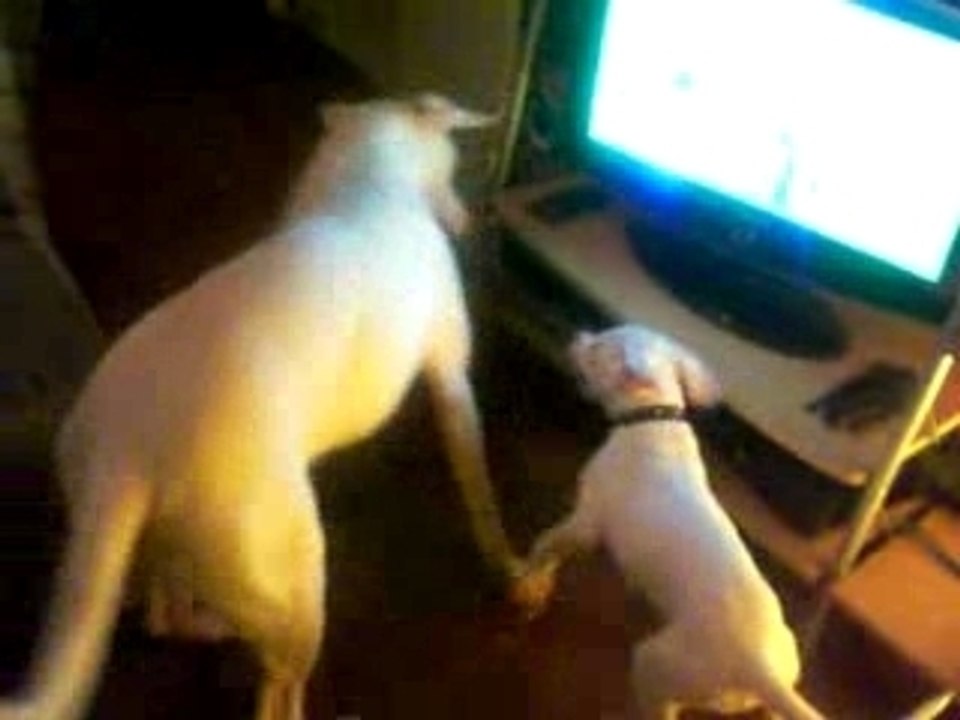 candy et ciera