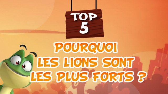 TOP 5 Pourquoi les lions sont les plus forts avec Kaeloo (dessin animé TéléTOON+)