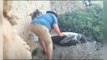 Il sauve une tortue coincée sur son dos alors qu'elle etait venu pondre