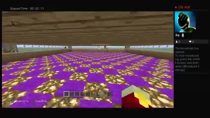 Live minecraft-Having fun (7)