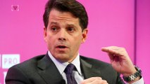 White House Communications Director Anthony Scaramucci: Who is He?