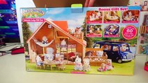 Dia de campo - Historias en español con juguetes de Calico Critters para niñas y niños