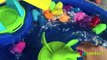 Bain les couleurs doris Oeuf découverte Apprendre épeler tableau jouets eau mots Disney pixar surprise abc