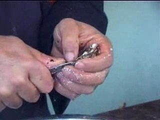 Ouvrir facilement les huîtres