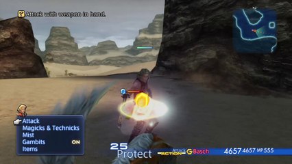 Basch Measure Moveset