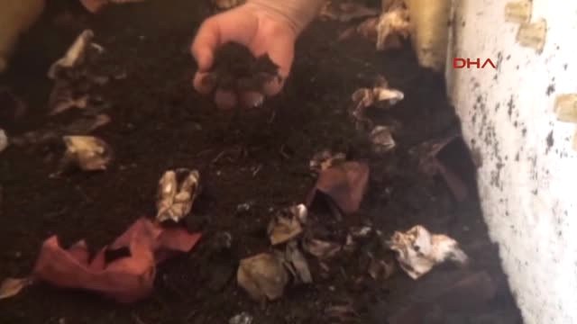 Aydın Emekli Öğretmenden Solucan Gübresi Üretimi