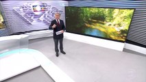 Globo Repórter – Mata Atlântica, 21/07/2017.
