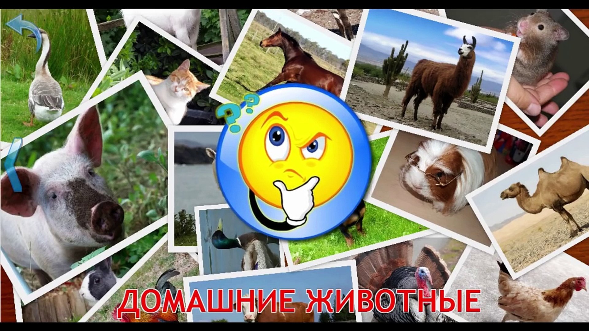 ⁣Домашние животные изучаем домашних животных звуки животных развивающий мультик