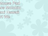 3dRose LLC 8 x 8 x 025 Inches Mouse Pad Scuba Divers Molokini Crater Maui Hawaii Stuart