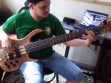 The Top Guitars - 6 String Bass