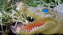 SHARK VS DINOSAURS ATTACK CROCODILE T Rex Dinosaur Jaws Sharky Toy Alligator