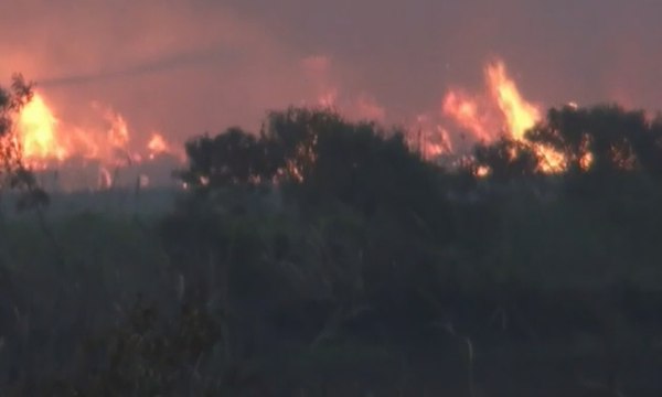Kebakaran Lahan Gambut Mencapai 50 Hektar