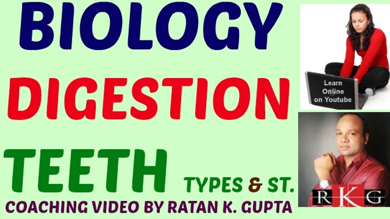 Bio-Digestion-Teeth