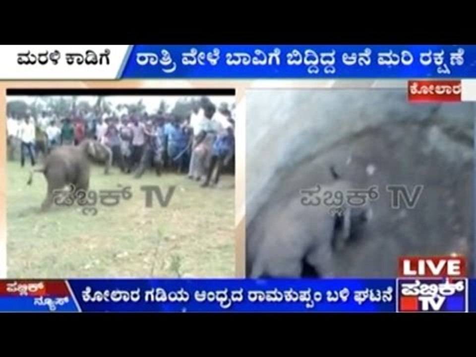 Kolar-Andhra Border: Baby Elephant Falls Into Dry Well, Rescued By Officials