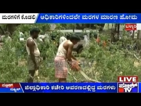 Bellary: Trees Chopped Down In DC Office Premises