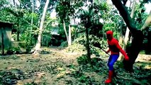 Batalla lucha en en vida película parque hombre araña superhéroes el veneno Vs real