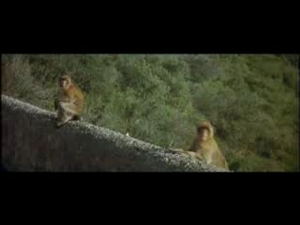 THE LIVING DAYLIGHTS TRAILER