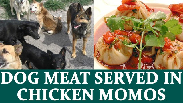 Dog meat in momos leads to shutting of eateries in Delhi's cantt. area | Oneindia News