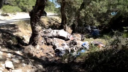 Ormanı Çöp Sahası Gibi Kullanıyorlar