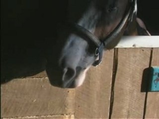Its Breeders Cup Week