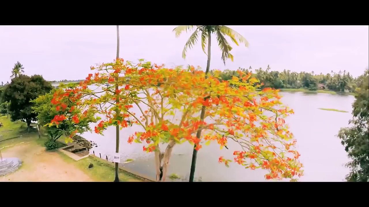 Chinnamma Adi Official Video Song ll Oppam ll Mohanlal ll Priyadarshan