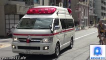 Ambulance Tokyo Fire Department Azabu Fire Station (collection)