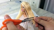 Barbie Saç Kesimi || Barbie Haircut