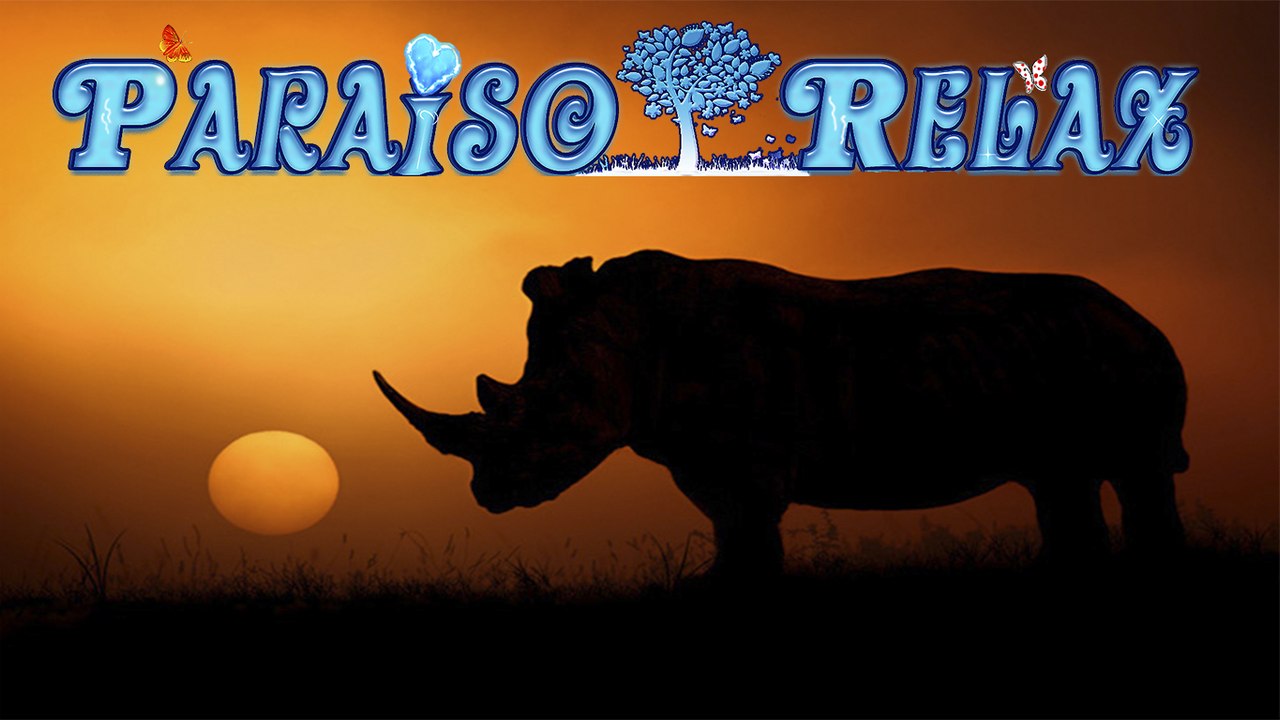 RELAX EXPRESS VOL 39 AFRICA, MÚSICA RELAJANTE  PARA ESTUDIAR, TRABAJAR, DORMIR