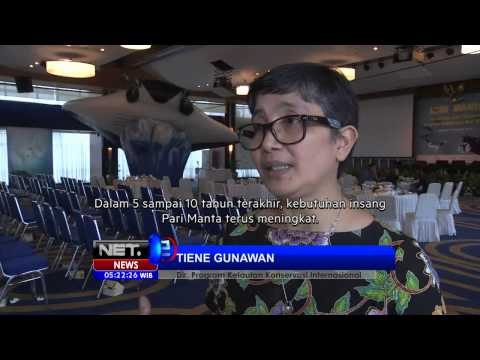 NET5-Indonesia Menjadi Kawasan Konservasi Ikan Pari Manta Terbesar di Dunia