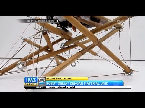 IMS - Robot-robot unik yang pernah tercipta