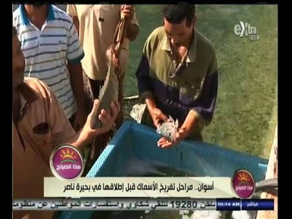 #هذا_الصباح | شاهد .. كيف تتم عملية تفريغ الأسماك قبل إطلاقها في بحيرة ناصر