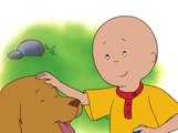 Caillou Episode 07 The World Around Me - Caillou Episode 08 Machines Brmmmm