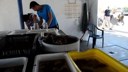 Marmara Denizi'nin "Oşinografik" Şartları Izleniyor