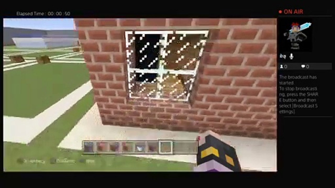 Minecraft pros (20)