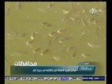 #أخبار‪_‬المحافظات | اسوان .. مراحل تفريخ الاسماك قبل اطلاقها في بحيرة ناصر