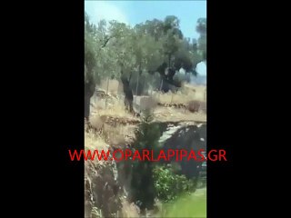 Αφρικανός βάζει φωτιά σε ελαιώνα στην Μόρια