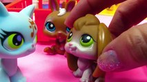 LPS Bunny-Sitter Littlest Pet Shop Whale Cat Movie Video Playing Rose Wilson escapes from