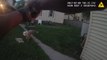 Bodycam video shows police officer shooting friendly dogs