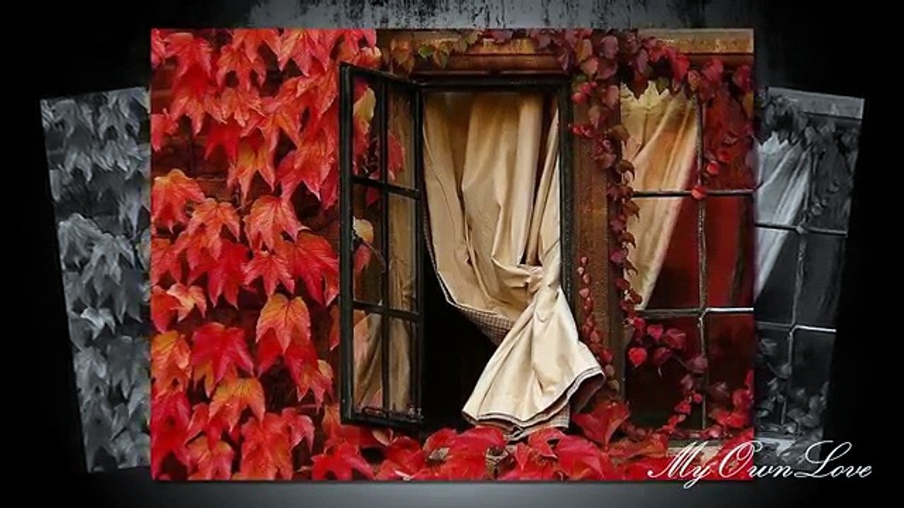 Detroit Blues Band - Tears From My Eyes