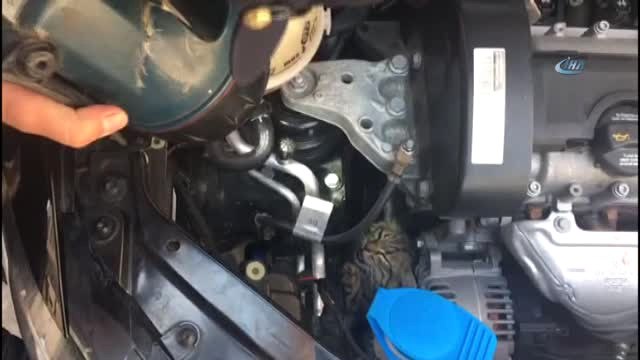 Yavrusu Araç Motoruna Sıkışan Anne Kedi, Yavrusu Kurtarılırken Başından Ayrılmadı