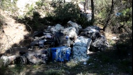 Ormanı Çöp Sahası Gibi Kullanıyorlar