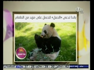 #هذا_الصباح | فقرة السوشيال ميديا | 28 أغسطس 2014