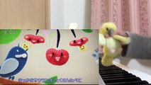おかあさんといっしょ　【おしゃれフルーツ】　ピアノ　動画