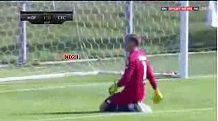 Nikola Ninković Goal - Hoffenheim vs Genoa 1-1  22.07.2017 (HD)