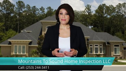 Mountains To Sound Home Inspection Renton Great 5 Star Review by John C.